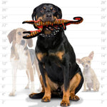 tuffy® Desert Series - Scorch the Scorpion