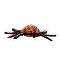 Load image into Gallery viewer, tuffy® Desert Series - Harry the Hobo Spider
