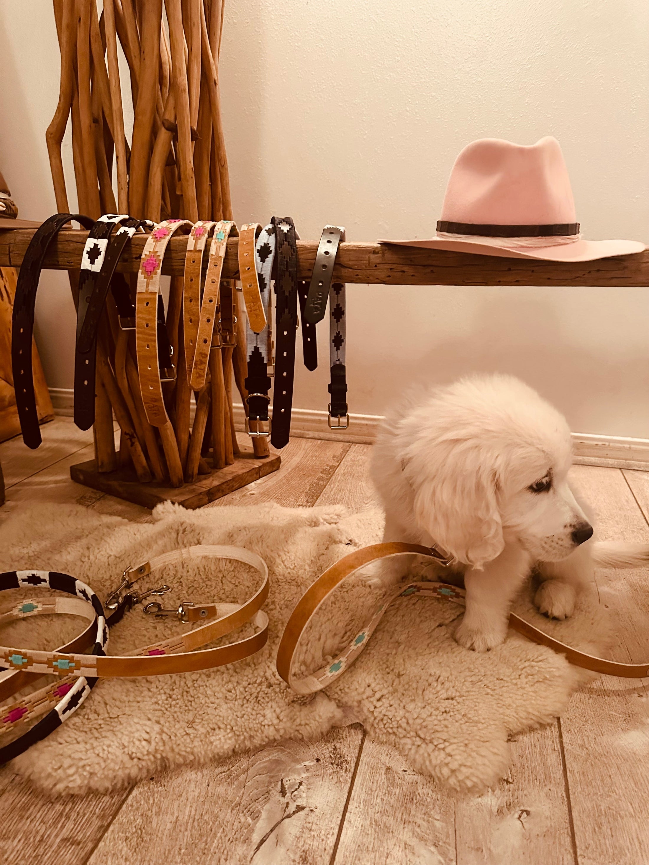 Dog Leashe Pink and Rawhide 