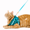 Load image into Gallery viewer, Joey Cat Harness & Leash Set

