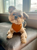 Load image into Gallery viewer, Plaid Bandana, Fall Bandana,  Winter Bandana, High Quality Luxe Fabric, Rust, Dog Bandana
