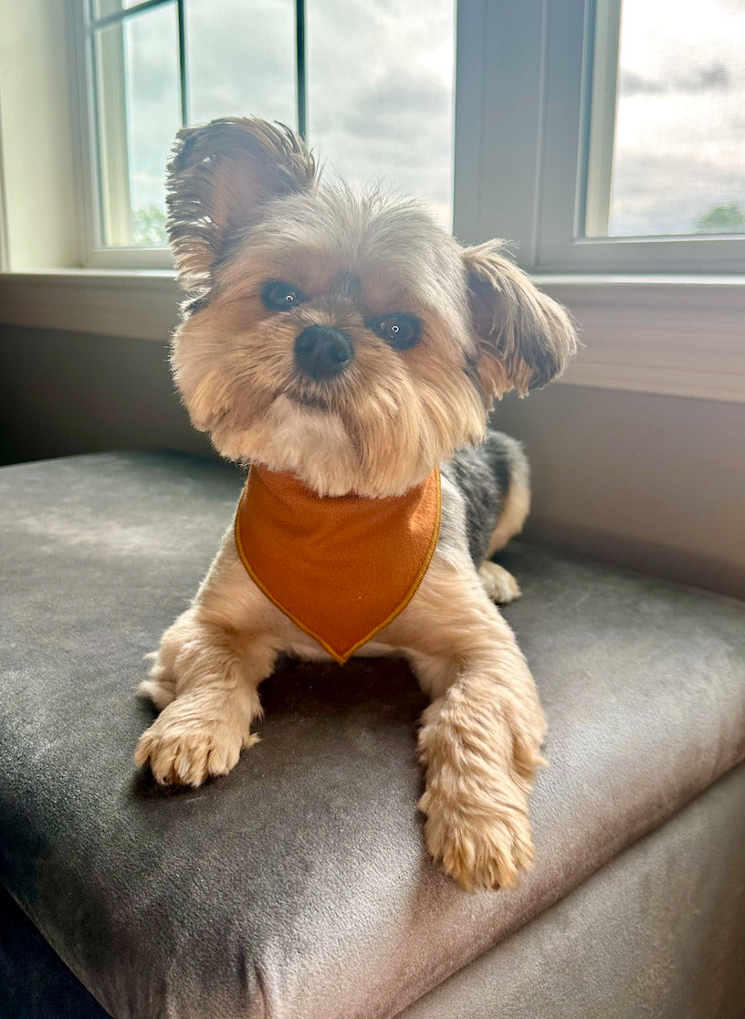 Plaid Bandana, Fall Bandana,  Winter Bandana, High Quality Luxe Fabric, Rust, Dog Bandana