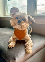 Plaid Bandana, Fall Bandana,  Winter Bandana, High Quality Luxe Fabric, Rust, Dog Bandana