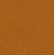 Pumpkin Spice | Halloween Dog Bandana | Flannel | Cutest Pumpkin in the Patch