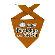 Pumpkin Spice | Halloween Dog Bandana | Flannel | Cutest Pumpkin in the Patch