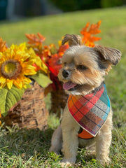 Fall Bandana, Plaid Bandana, Pet Bandana