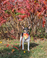 Fall Bandana, Plaid Bandana, Pet Bandana