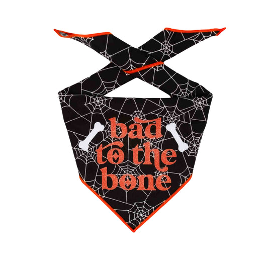Halloween Bandana | Halloween Dog Bandana | Black Spider Web | Bad to the Bone - Southlake Paws