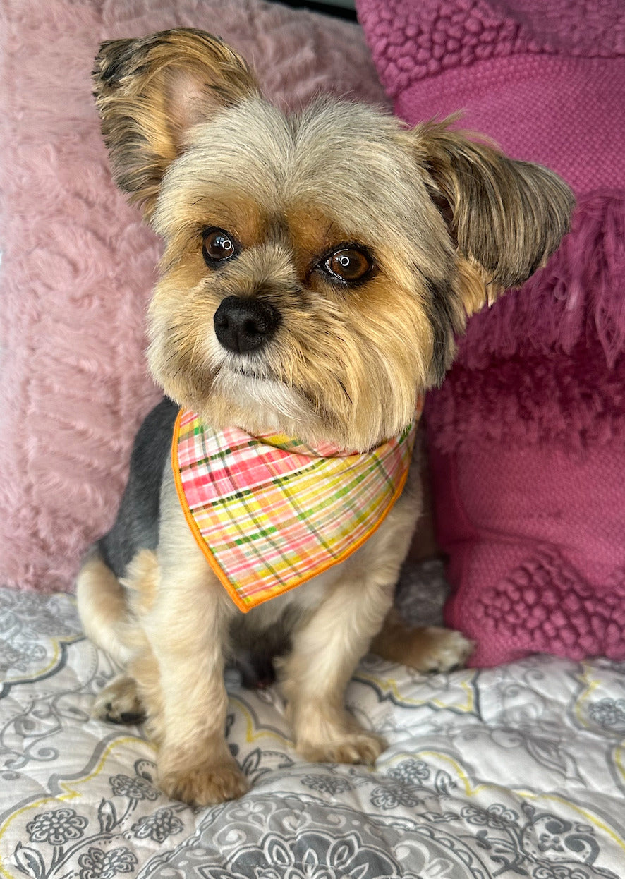 Plaid Bandana, Fall Bandana, Dog Bandana, Spring Bandana - Southlake Paws