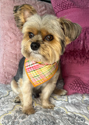 Plaid Bandana, Fall Bandana, Dog Bandana, Spring Bandana