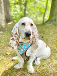 Load image into Gallery viewer, Camping | Marshmallow Bandana, Camping Bandana, Summer Bandana,  | Fall Bandana - Southlake Paws
