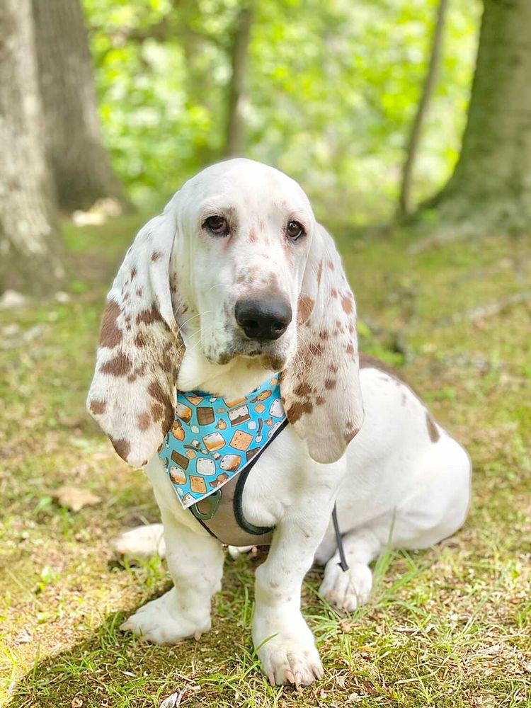 Camping | Marshmallow Bandana, Camping Bandana, Summer Bandana,  | Fall Bandana - Southlake Paws
