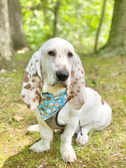 Camping | Marshmallow Bandana, Camping Bandana, Summer Bandana,  | Fall Bandana