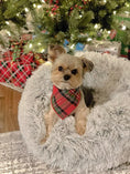 Load image into Gallery viewer, Christmas Bandana | Fall Bandana | Plaid Bandana | Luxe Flannel Bandana | Holiday Bandana - Southlake Paws
