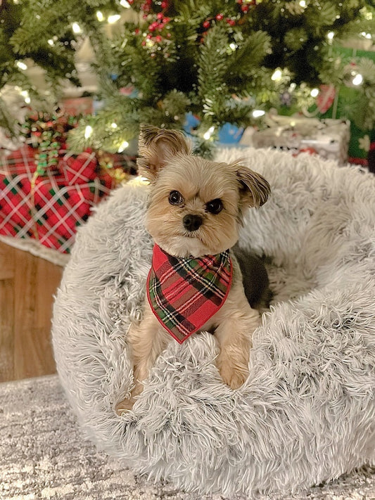 Christmas Bandana | Fall Bandana | Plaid Bandana | Luxe Flannel Bandana | Holiday Bandana - Southlake Paws