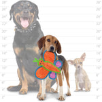 duraforce® Butterfly Orange