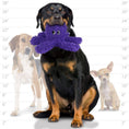 Load image into Gallery viewer, mighty® Microfiber Ball - Octopus Purple
