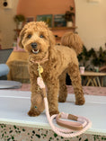 Load image into Gallery viewer, LEASH - BELLA ROSE
