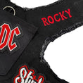 Load image into Gallery viewer, AC/DC Harness
