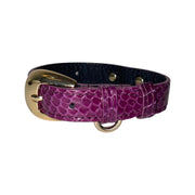 XS/S 7-14 Purple Custom Snake Collar/Custom Gold Oval Italian Hardware