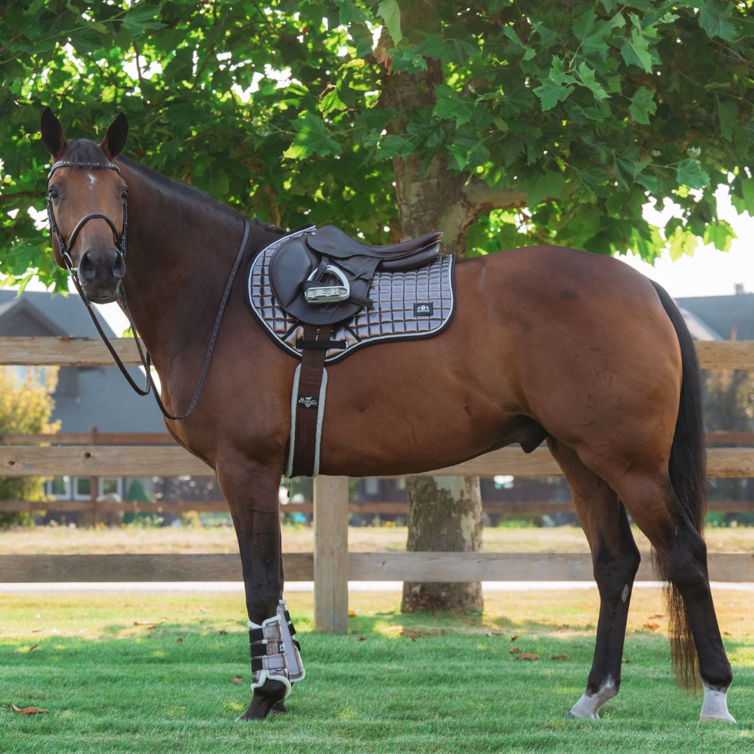 Southlake Paws Spaceship Grey Saddle Pad Set on a brown horse, featuring a sleek design and matching tack in an outdoor setti