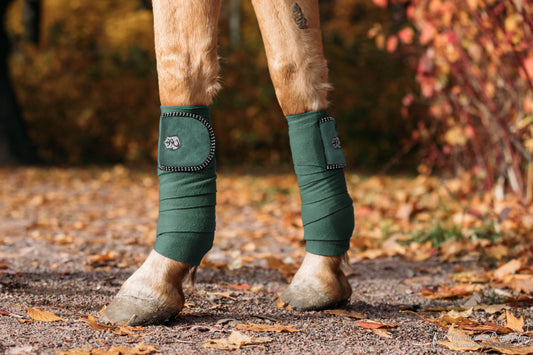 Southlake Paws Pine Grove Polo Wraps in green, wrapped around a horse's legs, set against a backdrop of autumn leaves.