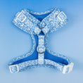 Load image into Gallery viewer, Santorini Adjustable Harness
