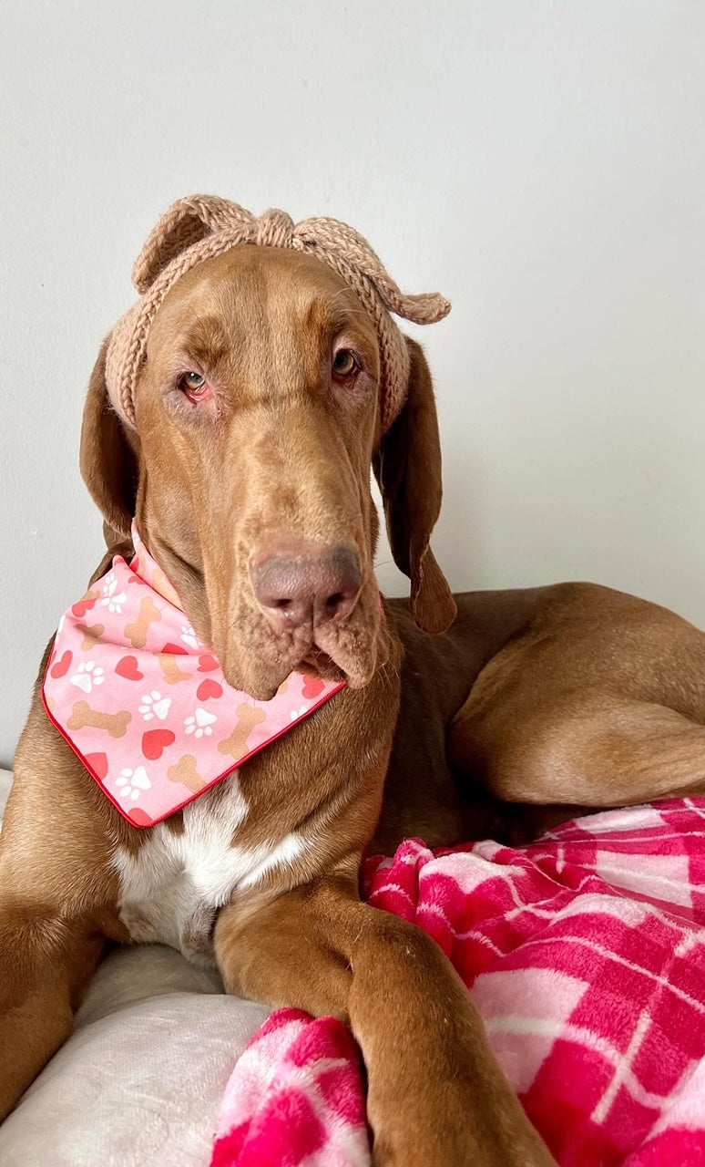 Valentine | Bandana | Valentines Day Bandana | Paws, Bones, Heart - Southlake Paws