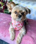 Load image into Gallery viewer, Valentine | Bandana | Valentines Day Bandana | Paws, Bones, Heart
