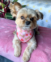 Valentine | Bandana | Valentines Day Bandana | Paws, Bones, Heart