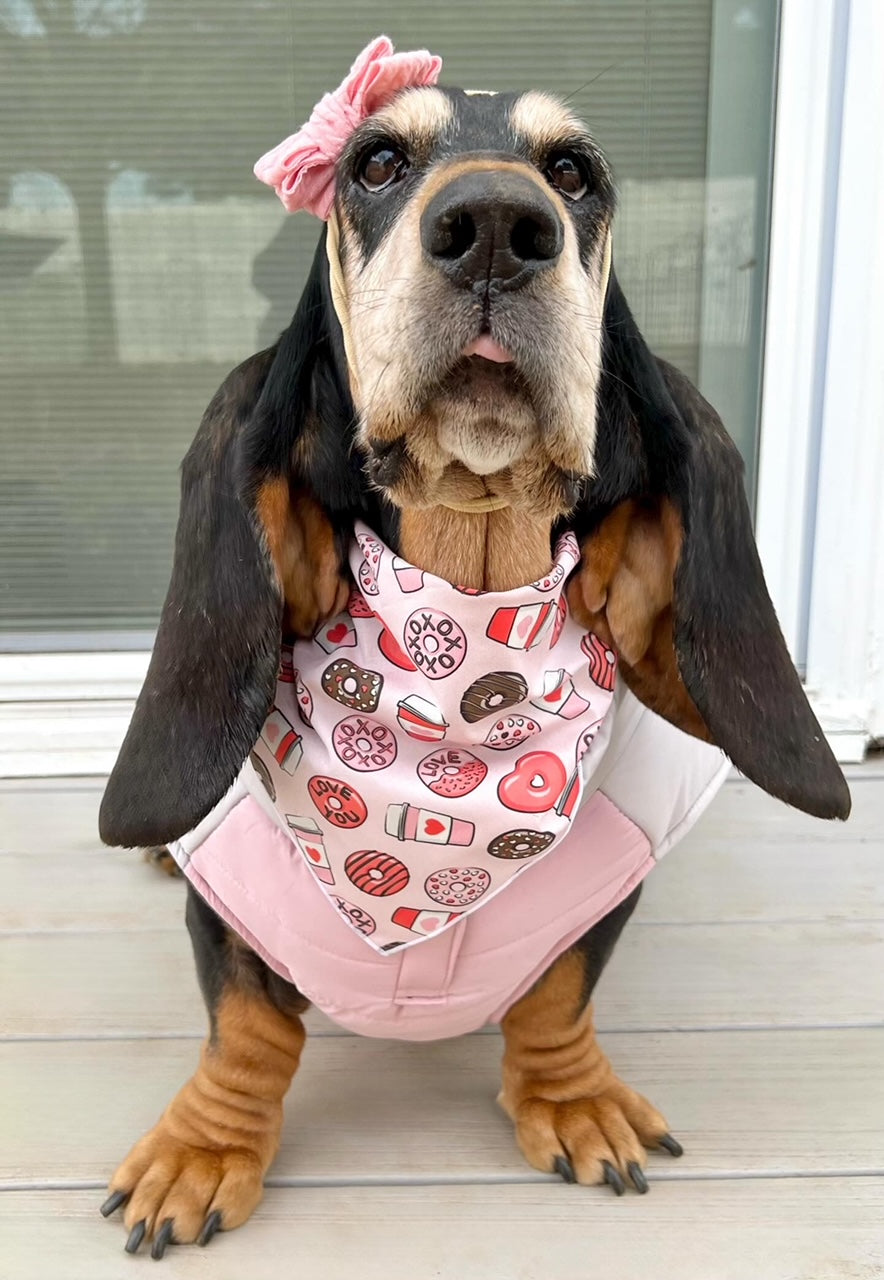 Valentine Bandana | Valentines Day Bandana | Valentine Dog Bandana with Donuts and Coffee - Southlake Paws