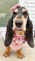 Load image into Gallery viewer, Valentine Bandana | Valentines Day Bandana | Valentine Dog Bandana with Donuts and Coffee
