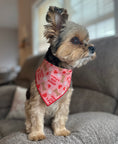Load image into Gallery viewer, Valentine Bandana | Valentines Day Bandana | Worlds Best Kisser
