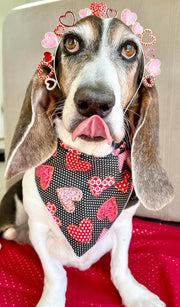 Valentine Bandana | Valentines Day Bandana | Red Hearts Valentine Dog Bandana, Hearts