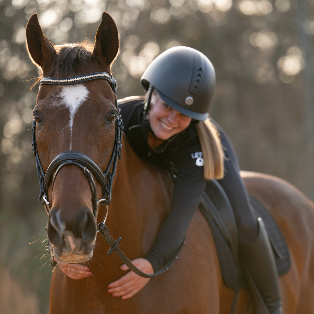 Henri de Rivel Diamonte Dressage Bridle - image 3