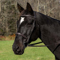 Load image into Gallery viewer, Henri de Rivel Pro Mono Crown Bridle with Padded Wide Noseband  with Laced Reins
