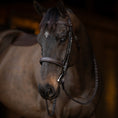 Load image into Gallery viewer, Henri de Rivel Pro Mono Crown Bridle with Padded Wide Noseband  with Laced Reins - image 3
