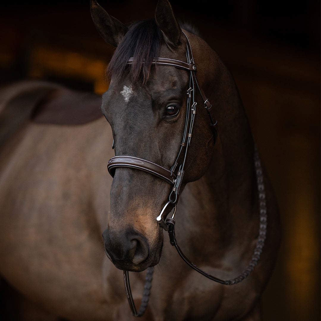 Henri de Rivel Pro Mono Crown Bridle with Padded Wide Noseband  with Laced Reins - image 3