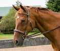 Load image into Gallery viewer, Henri de Rivel Pro Mono Crown Bridle with Padded Wide Noseband  with Laced Reins - image 2
