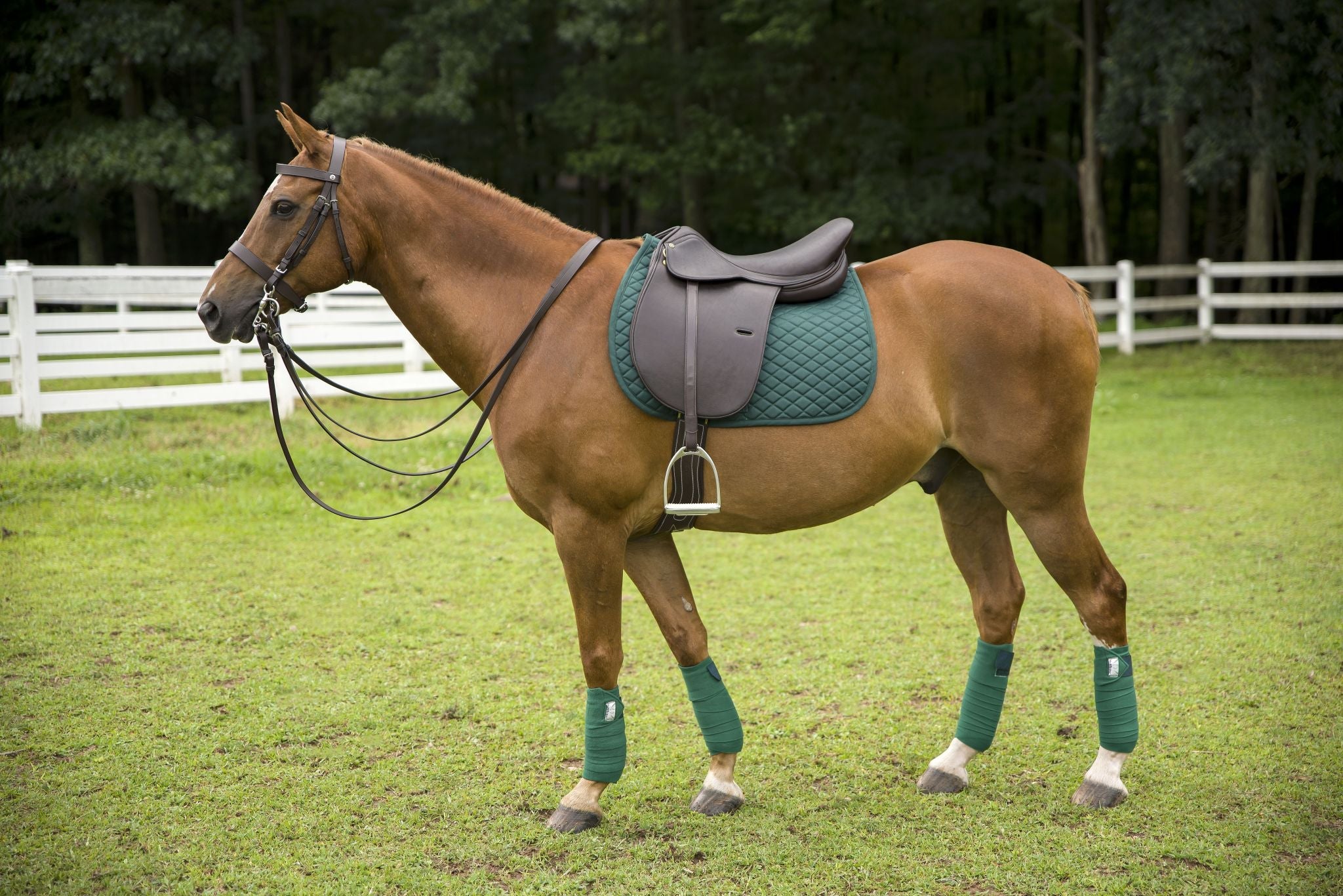 Henri De Rivel Jaipur Polo Saddle - image 3