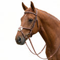 Load image into Gallery viewer, Laureate by Henri de Rivel Figure 8 Bridle w/ Rubber Reins
