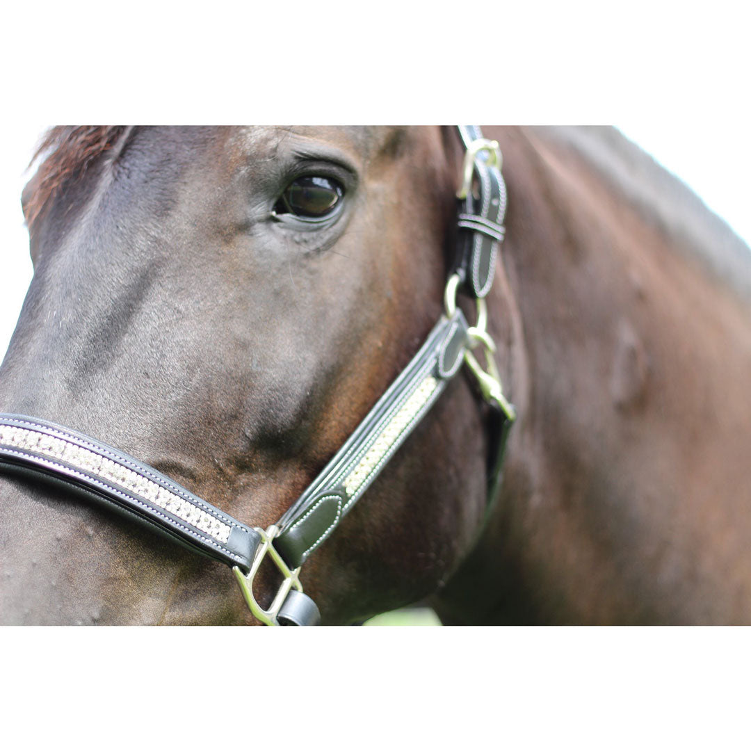 Henri de Rivel Padded Jewel Halter - image 6