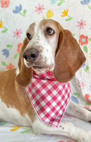 Bandana, Spring Plaid Dog Bandana, Pink, Spring Bandana | Raspberry Gingham