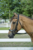 Load image into Gallery viewer, Henri de Rivel Pro Anatomical Bridle - image 5
