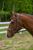 Load image into Gallery viewer, Henri de Rivel Pro Anatomical Bridle - image 2
