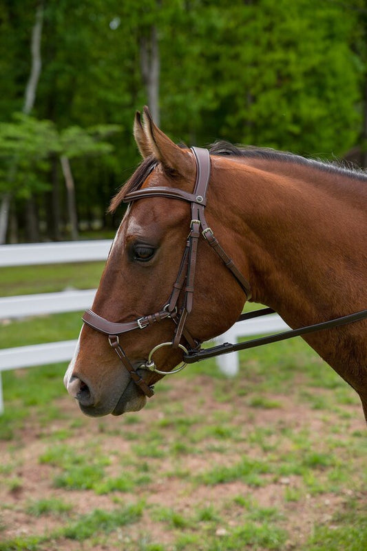 Henri de Rivel Pro Anatomical Bridle - image 2