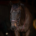 Load image into Gallery viewer, Henri de Rivel Pro Anatomical Bridle - image 4
