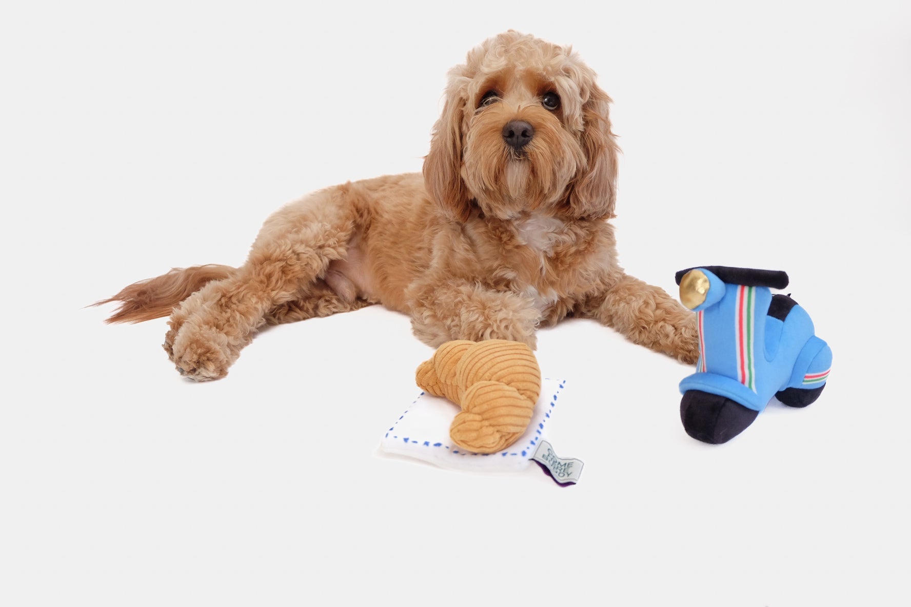 Scooter Pet Plush Toy - Southlake Paws