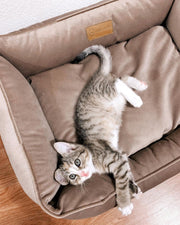 Velvet Cat Bed Dreamer