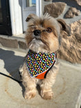 Load image into Gallery viewer, Easter Bandana, Easter Dog Bandana, Spring, Sparkle Eggs - Southlake Paws
